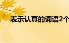 表示认真的词语2个字 表示认真的词语 