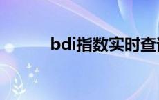 bdi指数实时查询网站 bdi指数 