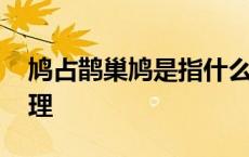 鸠占鹊巢鸠是指什么鸟 鸠占鹊巢的故事和道理 