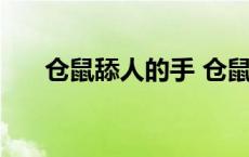 仓鼠舔人的手 仓鼠舔人手是什么意思 