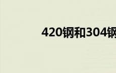 420钢和304钢的区别 420钢 