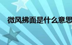 微风拂面是什么意思? 微风拂面对应什么 