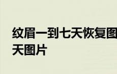 纹眉一到七天恢复图片过程 丝雾眉掉痂后10天图片 