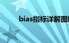 bias指标详解图解 bias指标详解 