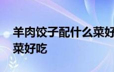 羊肉饺子配什么菜好吃窍门 羊肉饺子配什么菜好吃 