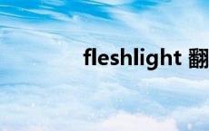 fleshlight 翻译 fleshlight 