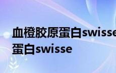 血橙胶原蛋白swisse经期可以喝吗 血橙胶原蛋白swisse 