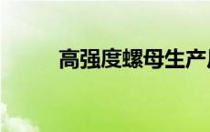 高强度螺母生产厂家 高强度螺母 