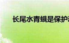 长尾水青蛾是保护动物吗 长尾水青蛾 