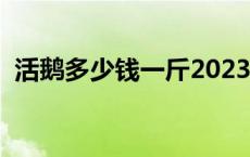 活鹅多少钱一斤2023湖北 活鹅多少钱一斤 