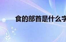 食的部首是什么字 食的部首是什么 