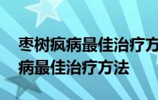 枣树疯病最佳治疗方法怎样灌根视频 枣树疯病最佳治疗方法 