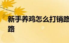 新手养鸡怎么打销路最快 新手养鸡怎么打销路 