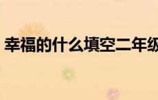 幸福的什么填空二年级下册 幸福的什么填空 