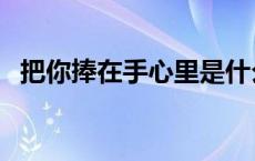 把你捧在手心里是什么广告 把你捧在手心 