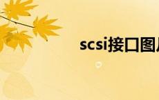 scsi接口图片 scsi接口 