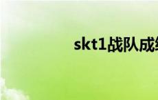 skt1战队成绩 skt1战队 