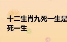 十二生肖九死一生是什么生肖 12生肖里的九死一生 