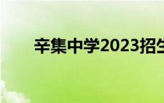 辛集中学2023招生分数线 辛集中学 