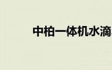 中柏一体机水滴300 中柏一体机 