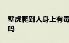 壁虎爬到人身上有毒吗 壁虎爬过的地方有毒吗 