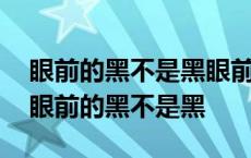 眼前的黑不是黑眼前的白不是白这是什么歌 眼前的黑不是黑 