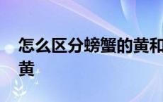 怎么区分螃蟹的黄和屎 螃蟹怎么分辨屎和蟹黄 