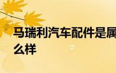 马瑞利汽车配件是属于品牌吗 马瑞利机油怎么样 