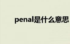 penal是什么意思 penalty什么意思 