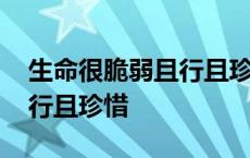 生命很脆弱且行且珍惜的说说 生命很脆弱且行且珍惜 