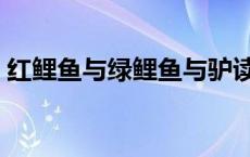 红鲤鱼与绿鲤鱼与驴读 红鲤鱼鲤绿驴鱼与雨 