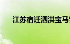 江苏宿迁泗洪宝马镇 江苏泗洪宝马乡 