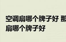 空调扇哪个牌子好 那样的用得住 又便宜 空调扇哪个牌子好 