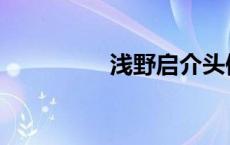 浅野启介头像 浅野启介 