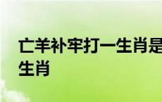 亡羊补牢打一生肖是什么动物 亡羊补牢打一生肖 