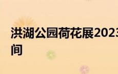 洪湖公园荷花展2023 深圳洪湖公园荷花开时间 