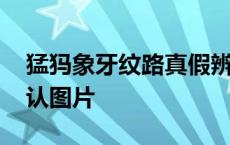 猛犸象牙纹路真假辨认图片 象牙纹路真假辨认图片 