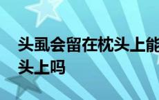 头虱会留在枕头上能存活多久 头虱会留在枕头上吗 