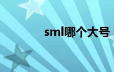 sml哪个大号 哪个小号 sml 