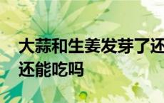 大蒜和生姜发芽了还可以用吗 生姜大蒜发芽还能吃吗 