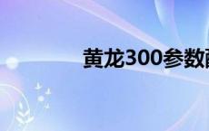 黄龙300参数配置 黄龙300 