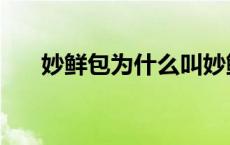 妙鲜包为什么叫妙鲜包 妙鲜包是什么 