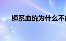 锤系血统为什么不能做警犬 锤系血统 