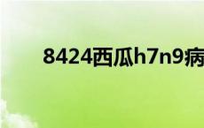 8424西瓜h7n9病毒 西瓜h7n9病毒 