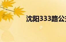 沈阳333路公交车 沈阳333 