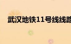 武汉地铁11号线线路图 武汉地铁11号线 