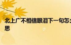 北上广不相信眼泪下一句怎么补充 北上广不相信眼泪什么意思 