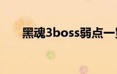 黑魂3boss弱点一览 黑魂3boss弱点 