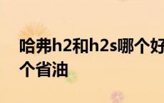 哈弗h2和h2s哪个好的区别 哈弗h2和h2s哪个省油 