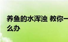 养鱼的水浑浊 教你一个笨方法 养鱼水浑浊怎么办 